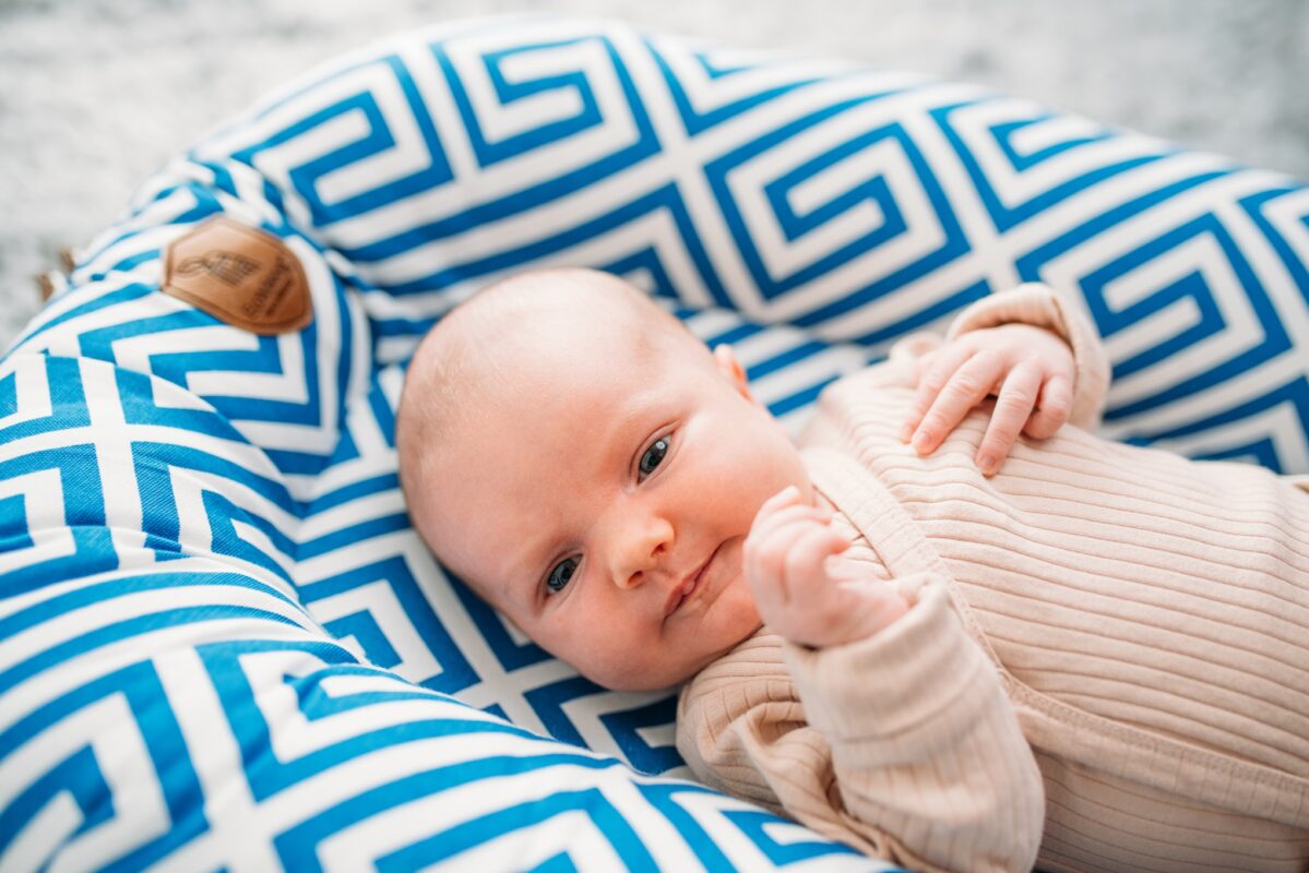 Ergonomic Baby Nest in Pattern